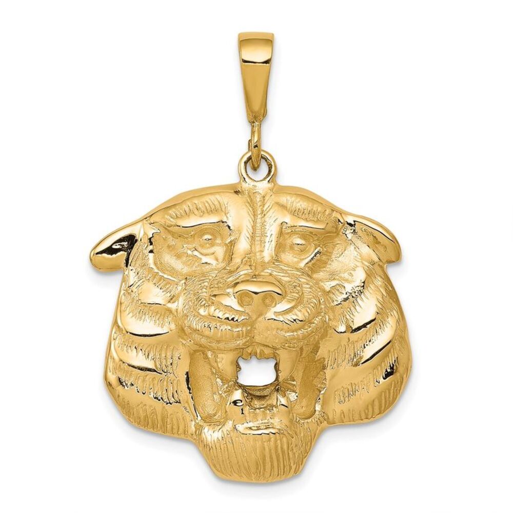 10k Yellow Gold Solid Polished Tiger Head Charm - image 1